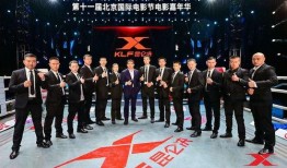 天骄保镖爆料视频在线观看,揭秘幕后真相，在线观看视频解析